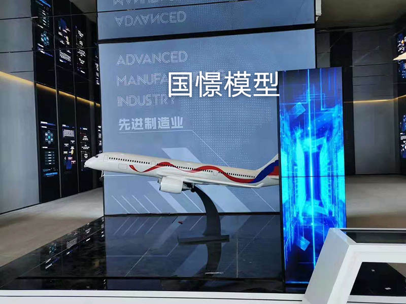 小金县飞机模型