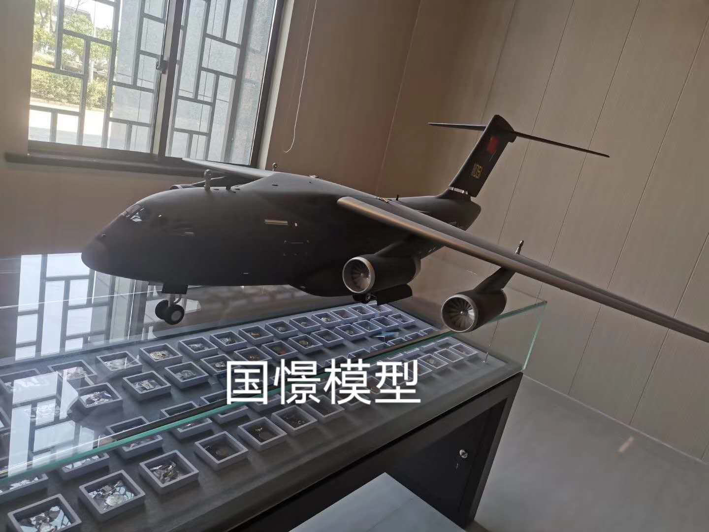小金县飞机模型